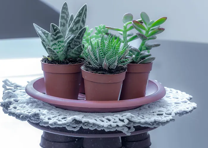 A&g بيت ضيافة لا سبيتسْيا